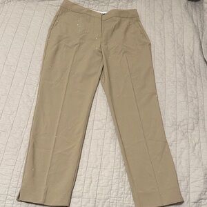 Zara Women's Tan Pants with Subtle Sparkle